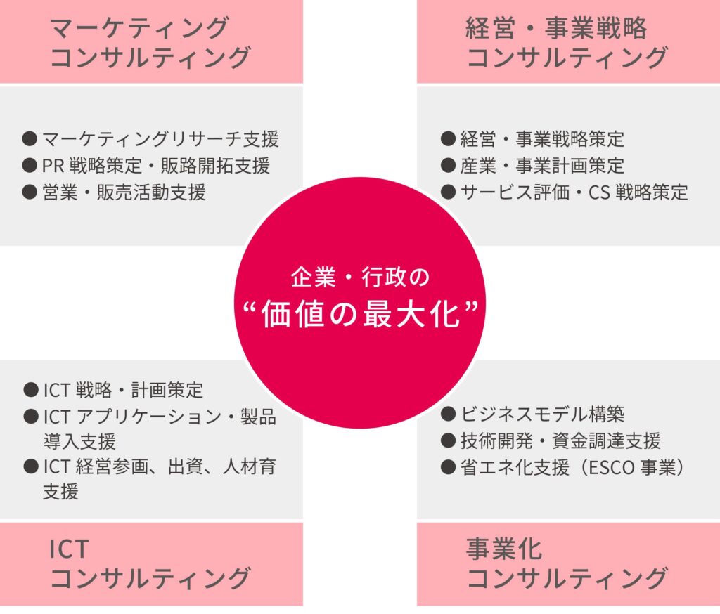 コンサルティング事業体系
